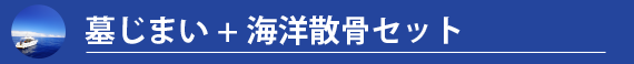 墓じまい+散骨セット